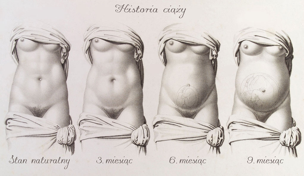 historia ciąży