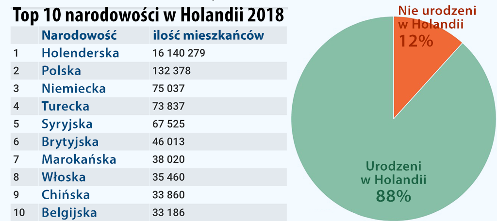 mniejszości narodowe w Holandii