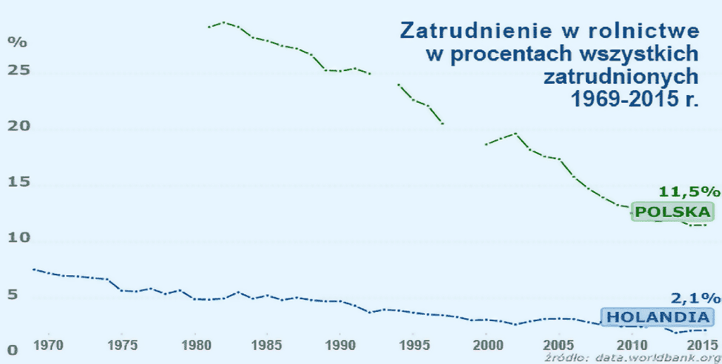 zatrudnienie w rolnictwie Polska Holandia