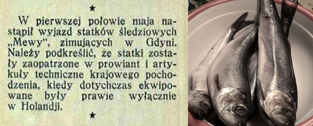 Polsko-holenderskie kutry śledziowe