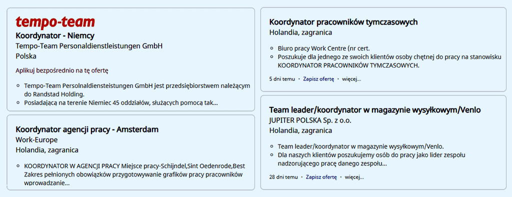 Koordynator z holenderskiej agencji pracy