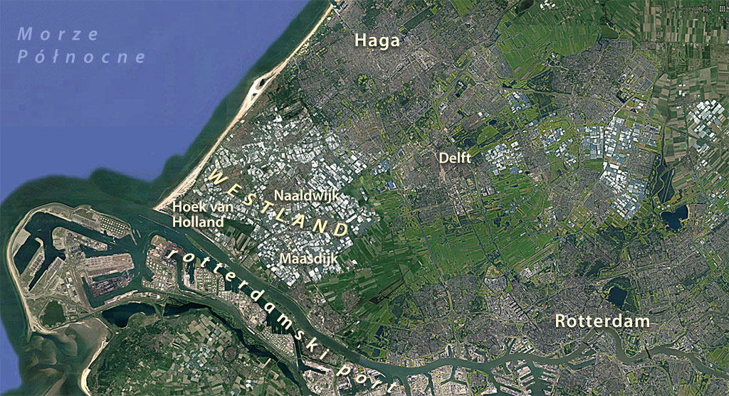 obszar szklarni w Holandii