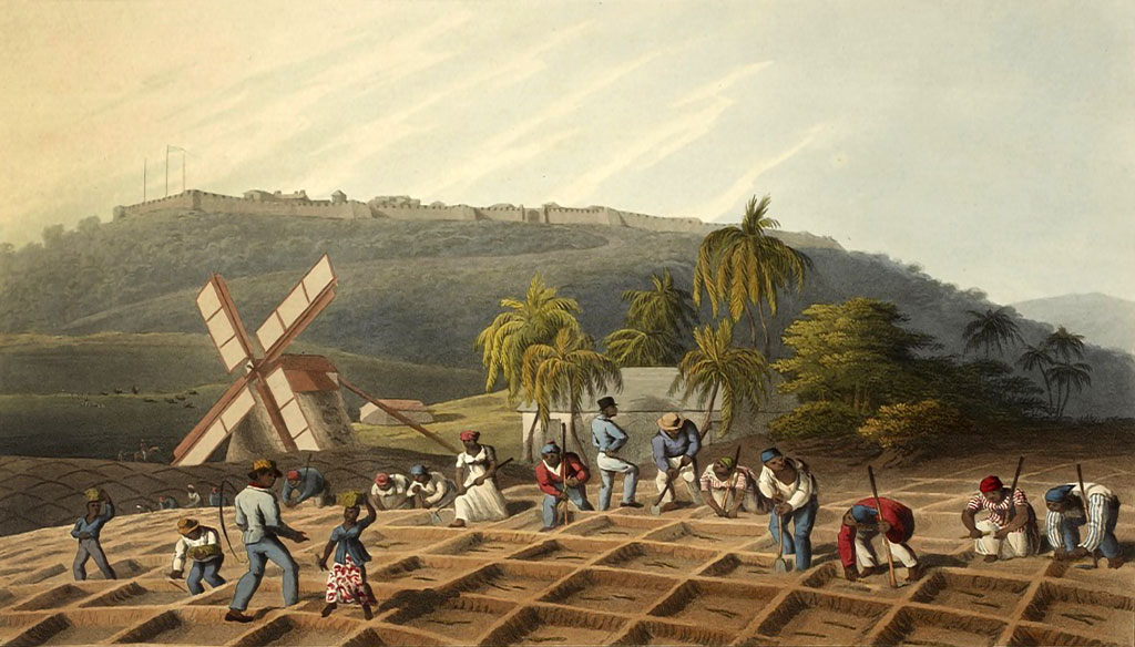 Niewolnicy holenderska plantacja Surinam