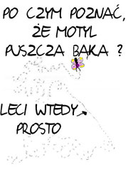 http://www.wiatrak.nl/wp-content/uploads/bak_motyla.jpg