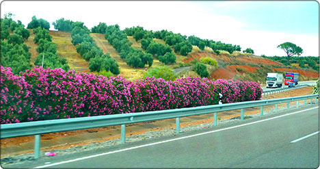 droga w Andaluzji