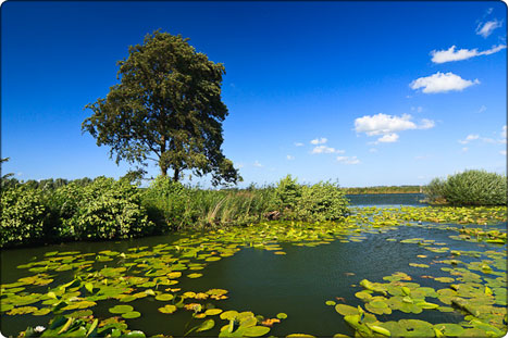 Reeuwijkse jeziora