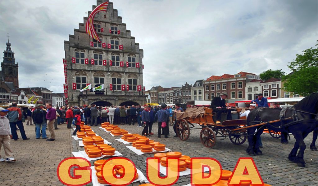 Gouda