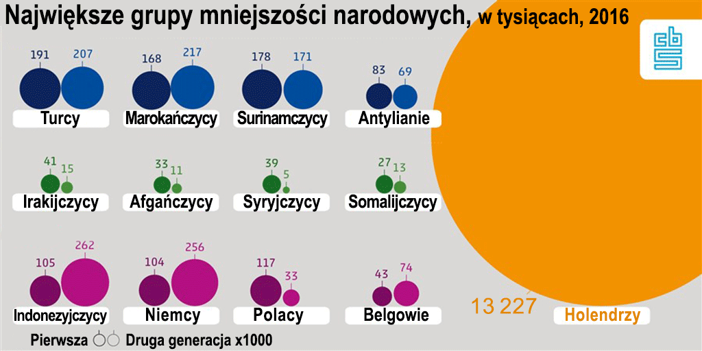 cudzoziemcy w Holandii.