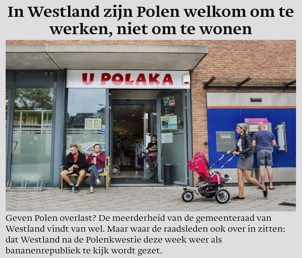 o Polakach w Holandii