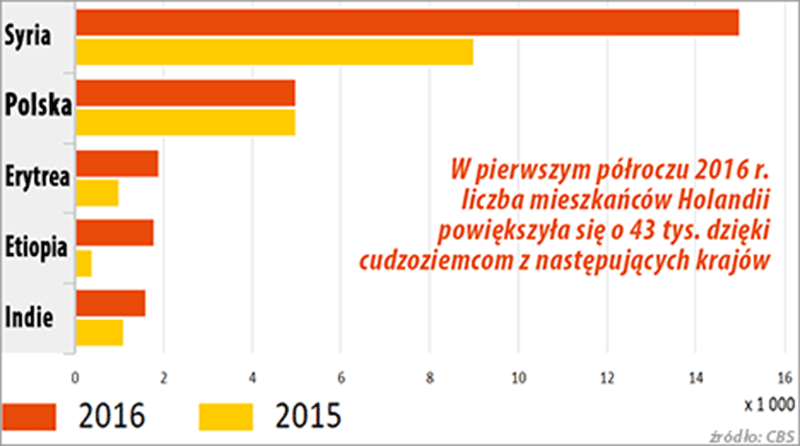 Polacy w Holandii