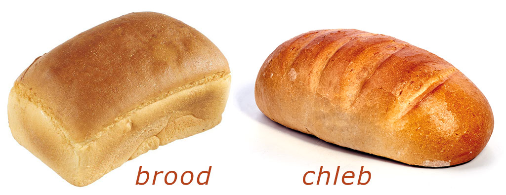 chleb
