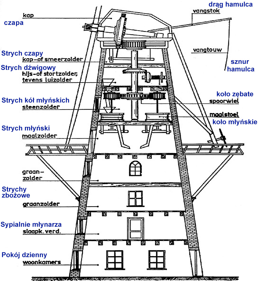 wiatrak holenderski