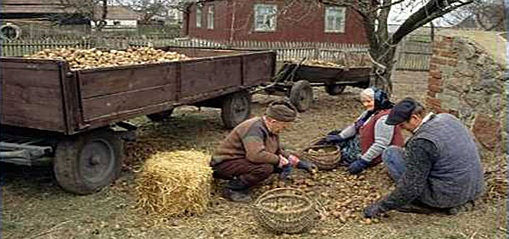 chłopska Polska