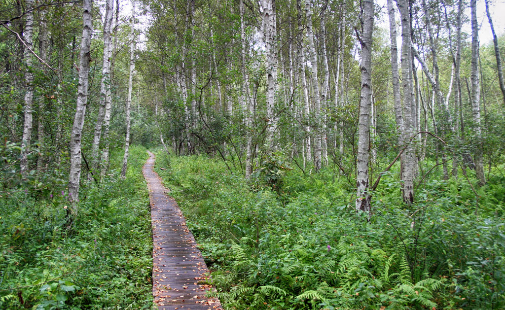 Poleski Park Narodowy