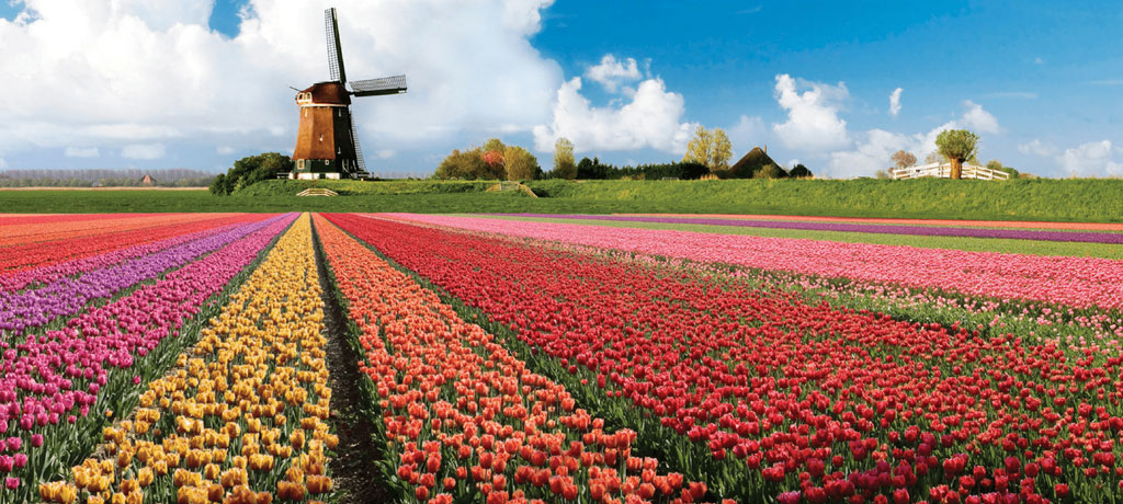 Holandia w kwietniu