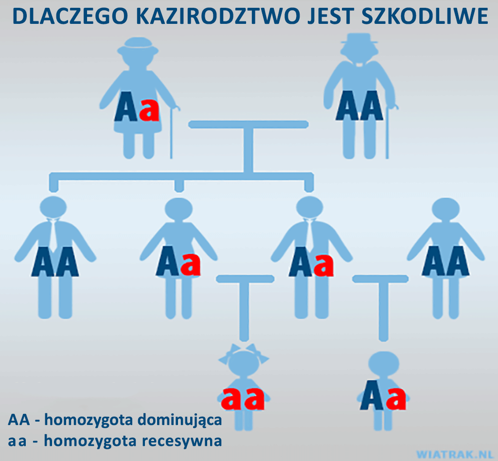 Kojarzenie krewniacze lub kazirodztwo