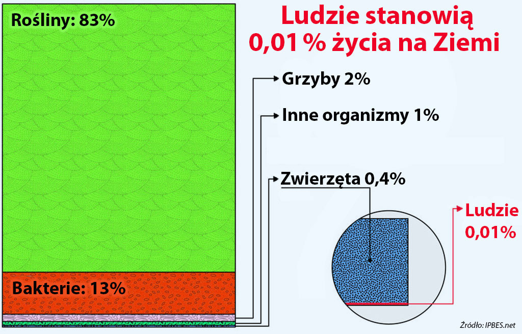 Udział ludzi w przyrodzie