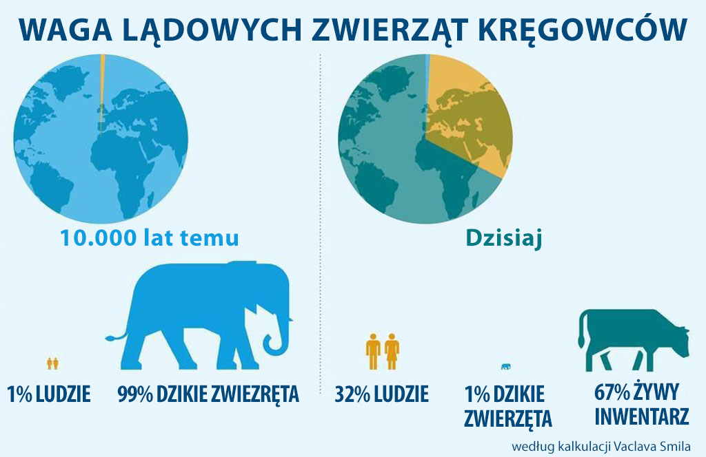 Waga zwierząt i ludzi na Ziemi