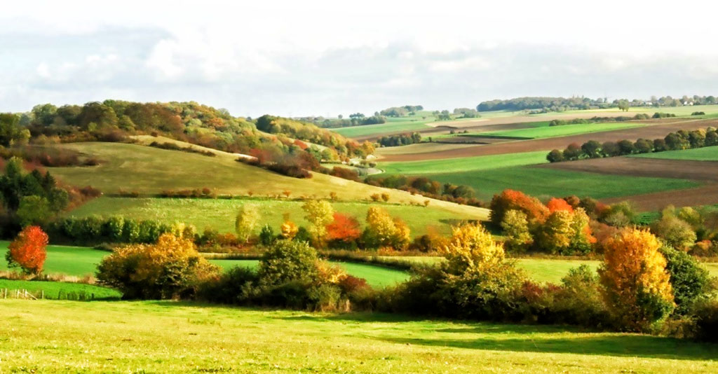 krajobraz Limburgii