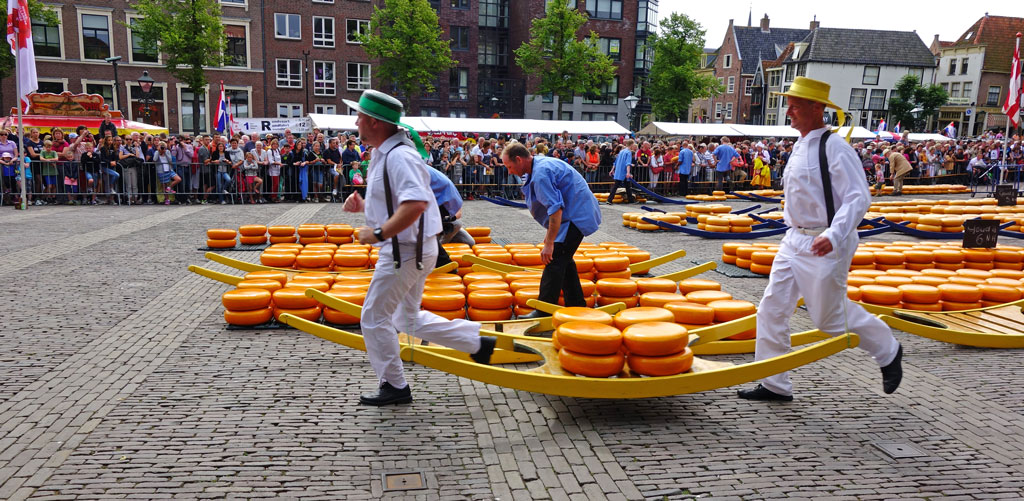 tragarze serów w Alkmaar