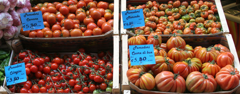 Pomidory w Włoszech