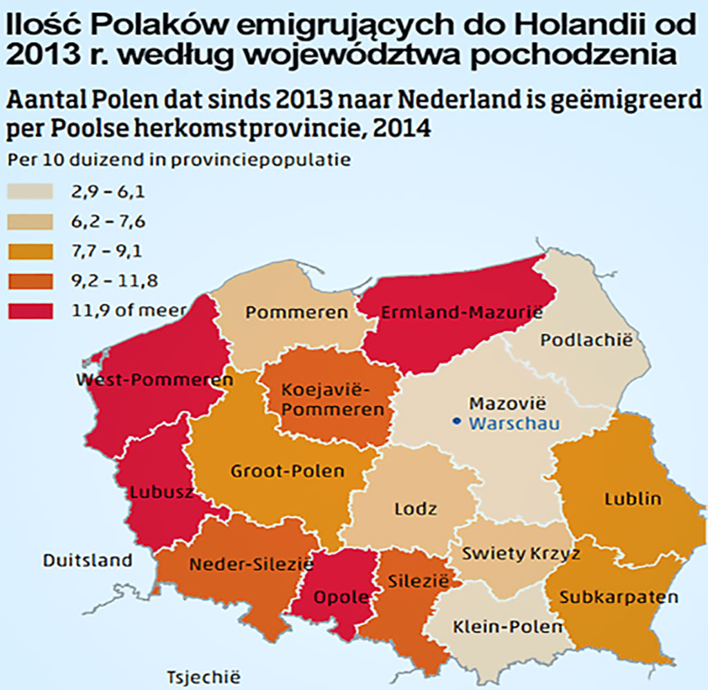 Najwięcej imigrantów przybyło do Holandii z Polski