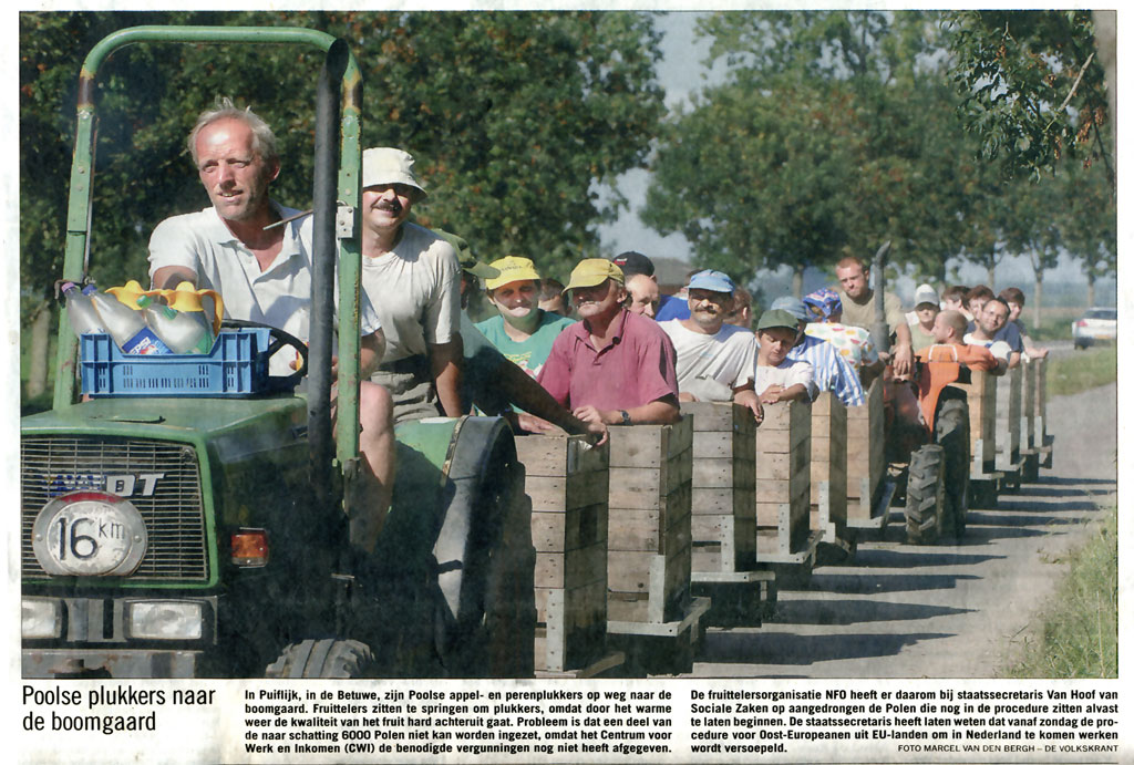 Polacy w Holandii nie wracają