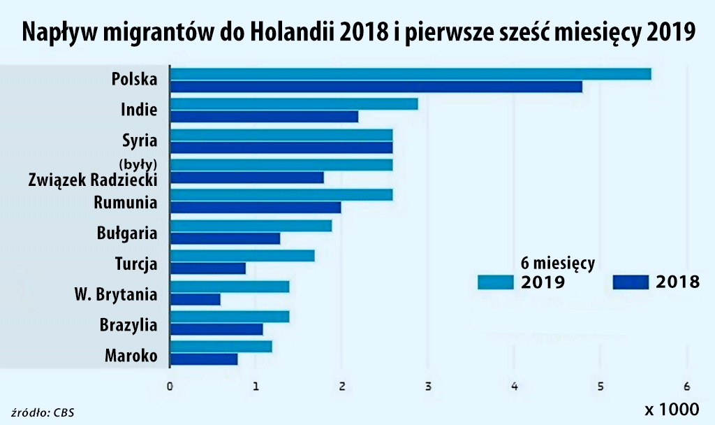 Polacy w Holandii nie wracają