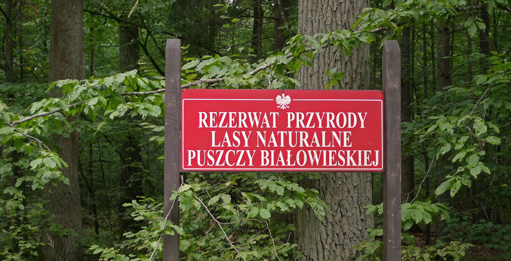 rezerwat przyrody