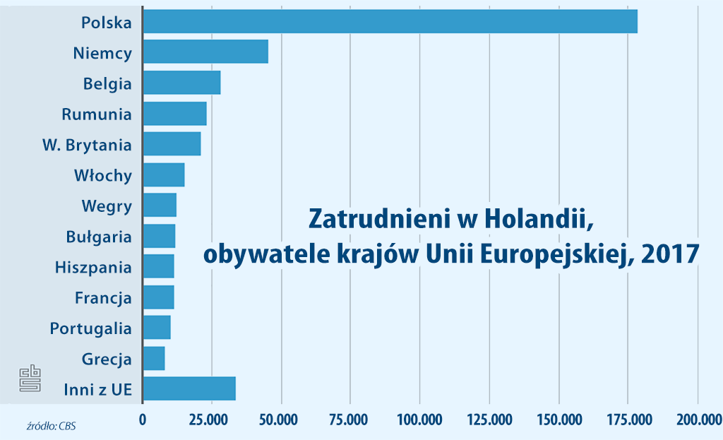 Polacy pracują w Holandii