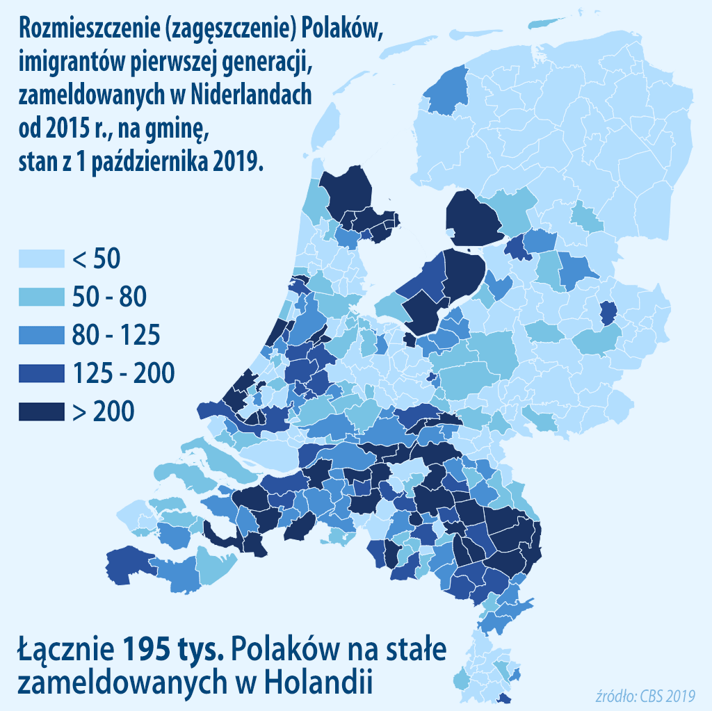 Polacy w Holandii 2020