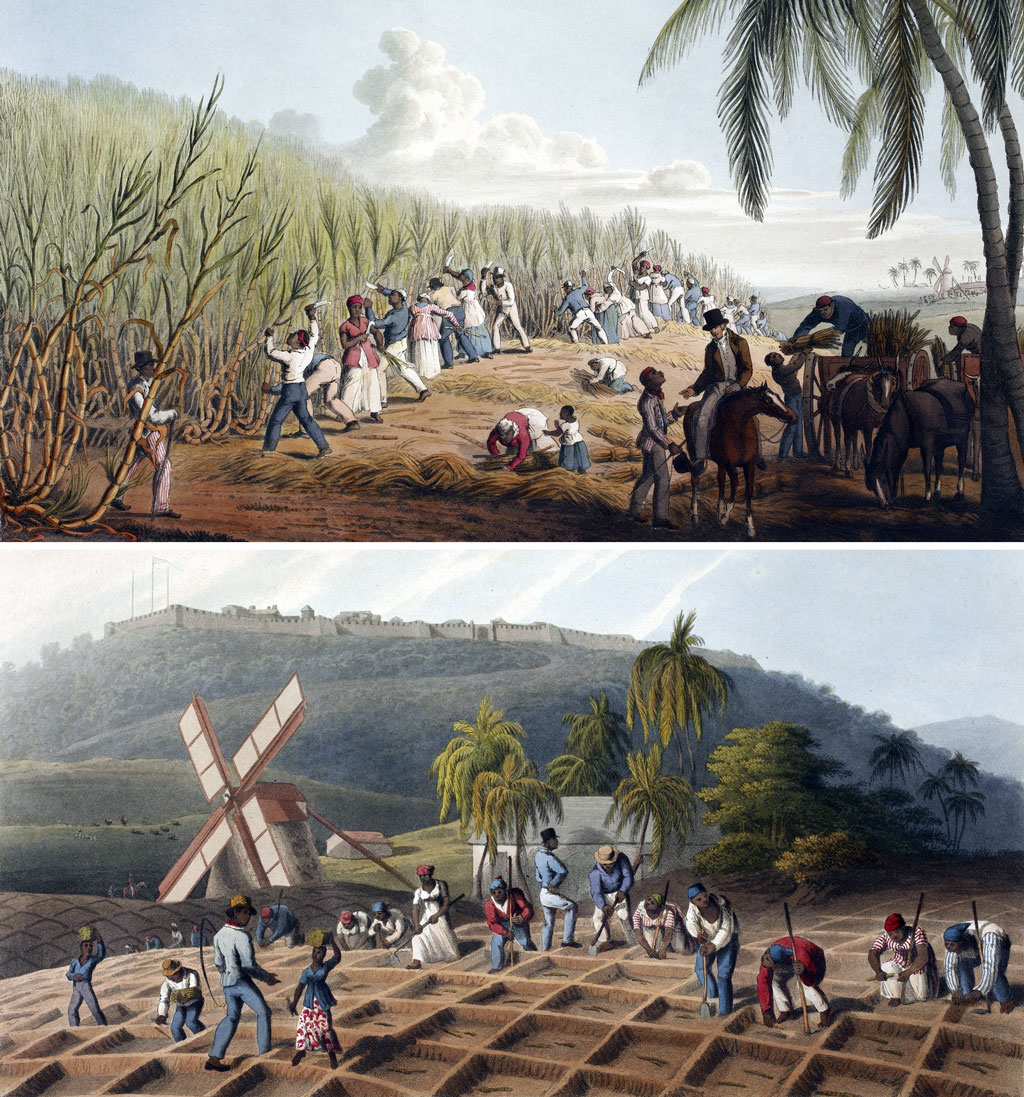 Niewolnicy na plantacjach Południowej Ameryki