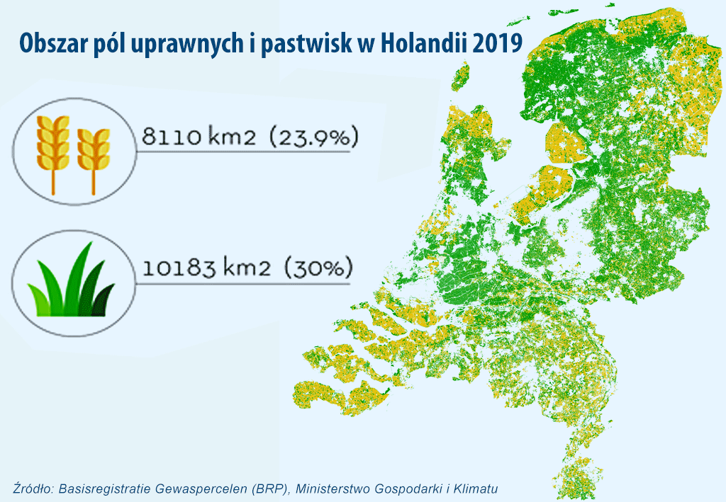 rolnictwo w Holandii 2019