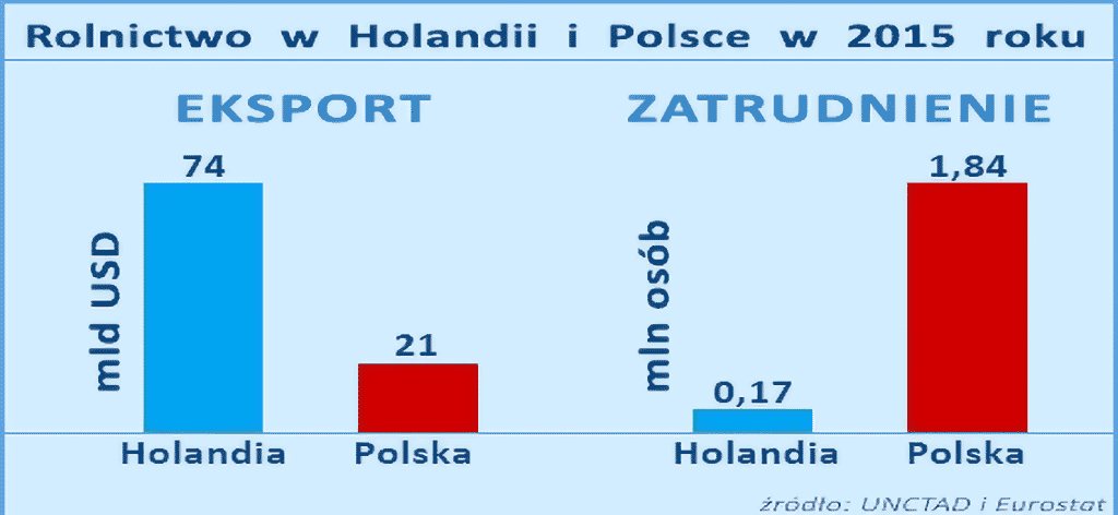 zatrudnienie i eksport w rolnictwie Polska - Holandia