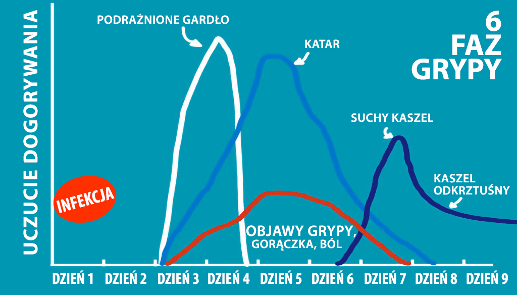 fazy chorowania na grypę