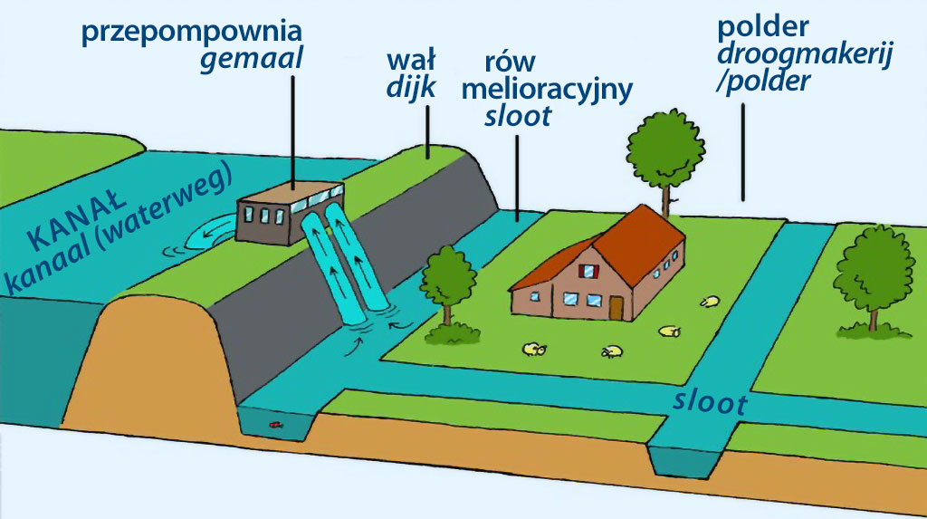 jak funkcjonuje Holandia