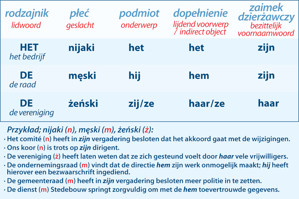 rodzaj męski, żeński i nijaki w języku holenderskim