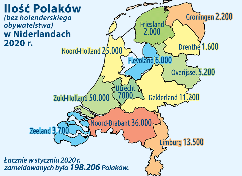 ilu i gdzie mieszkają Polacy w Holandii