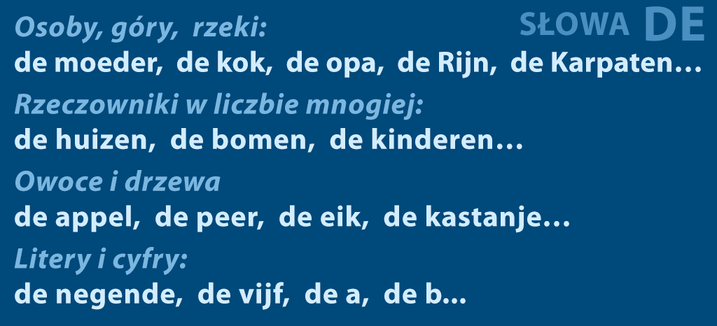 zasady rodzajnika DE w języku holenderskim