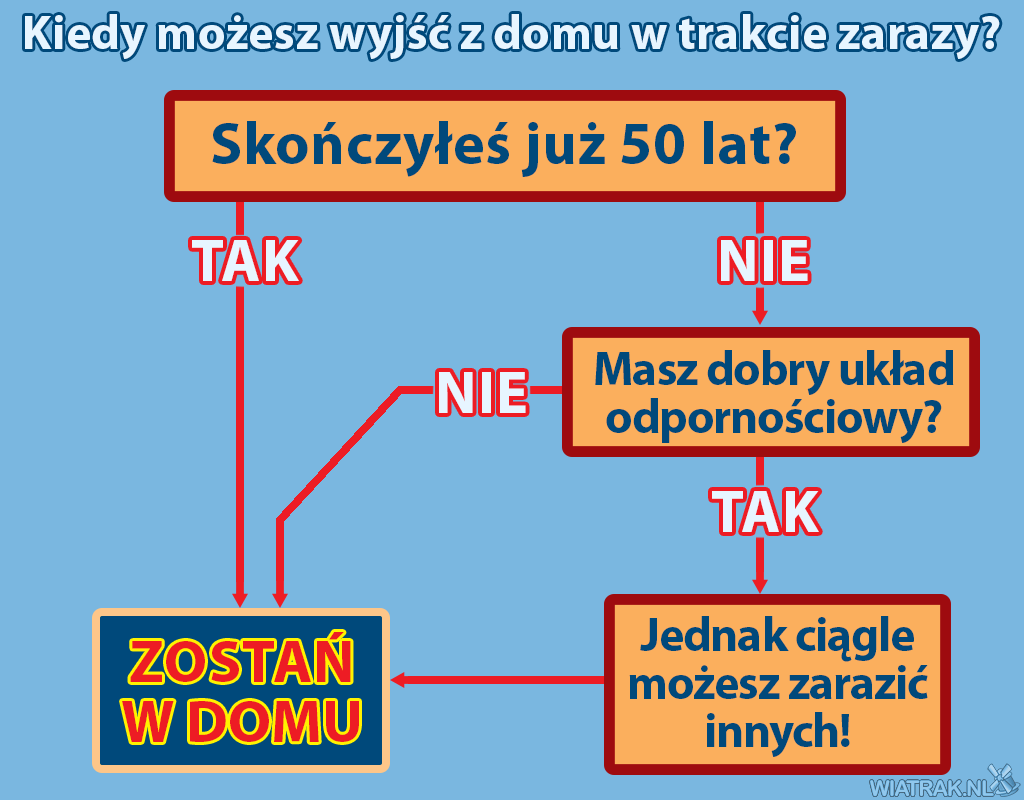 schemat zachowania w zarazie koronywirusa