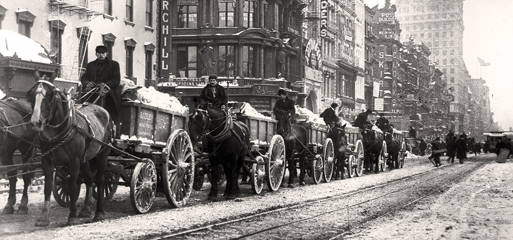 konie w mieście 1910 r.