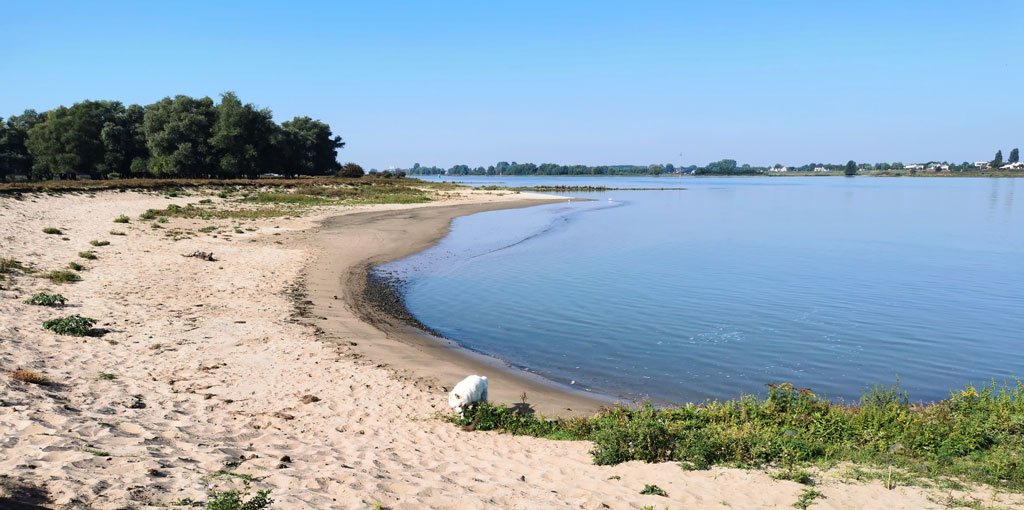 holenderski zamek Loevestain nad Renem