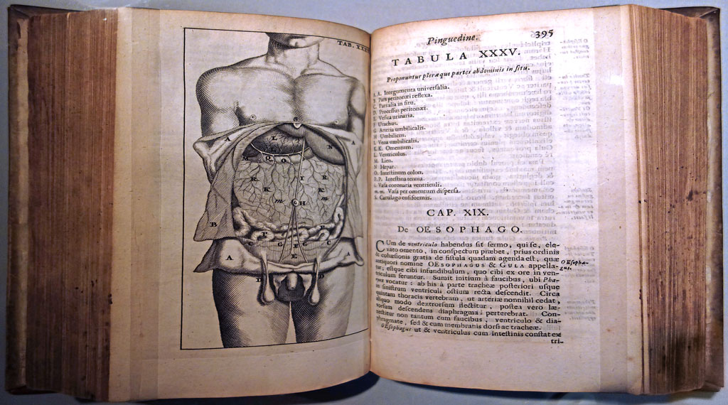 książka anatomii z XVII w.