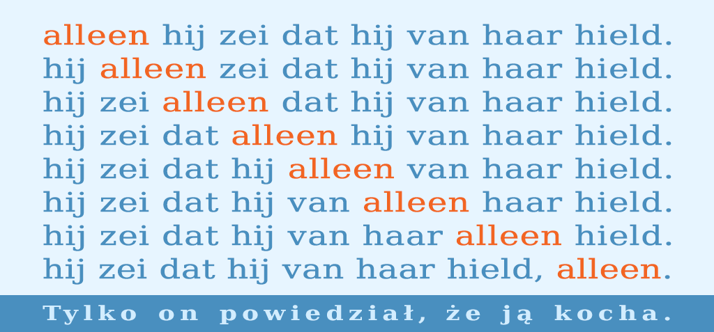 możliwości budowania zdania w języku holenderskim