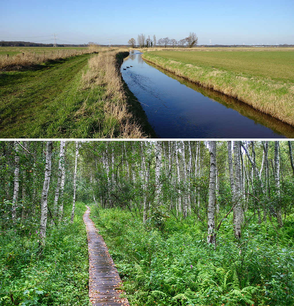 kanały torfowe 