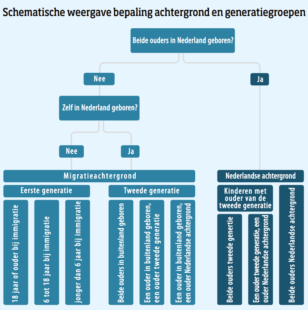 Schemat rasowego Holendra