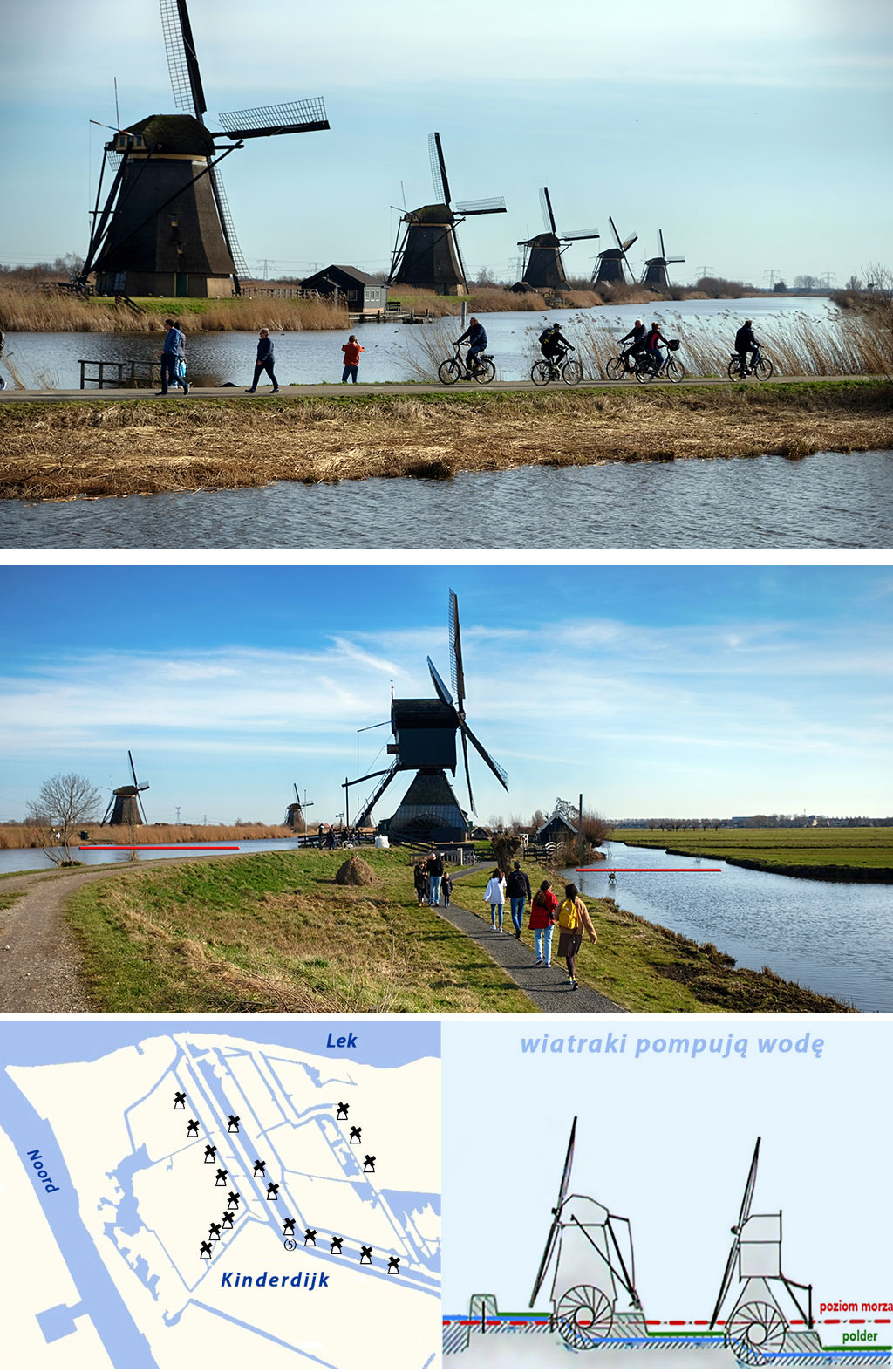 skansen wiatraków Kinderdijk