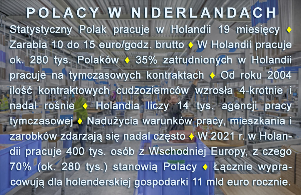 Polacy i praca w Holandii