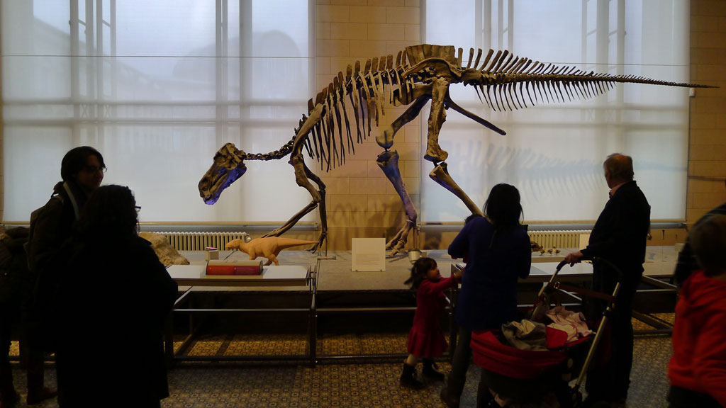 Dinozaury w Muzeum Nauk Przyrodniczych w Brukseli