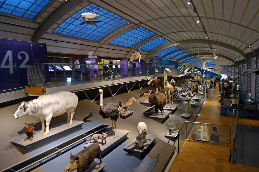 Muzeum Nauk Przyrodniczych w Brukseli